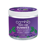 ELDERBERRY IMMUNITY GUMMIES